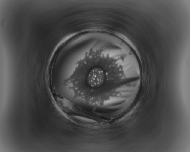 X0000083581045200703021810