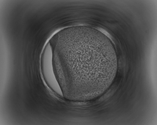 X0000083581047200703021810