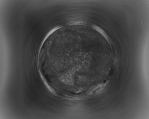 X0000083581050200703021810