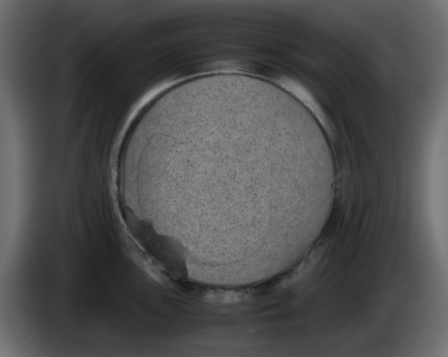 X0000083581051200703021810