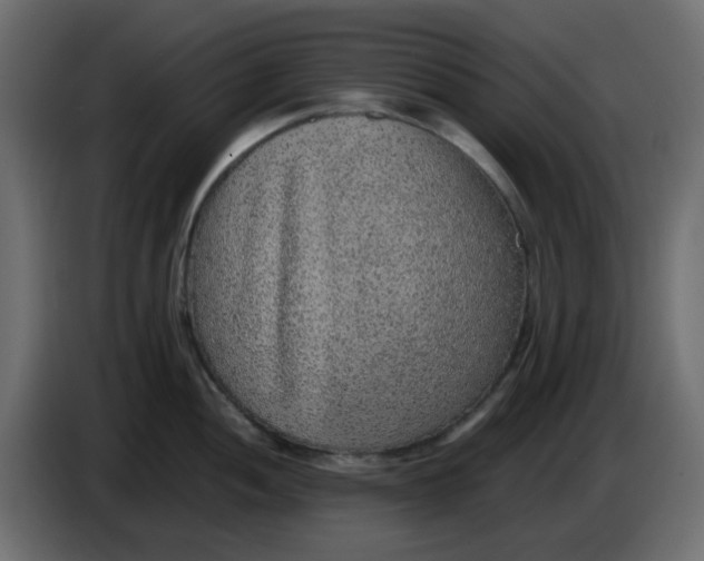 X0000083581052200703021810