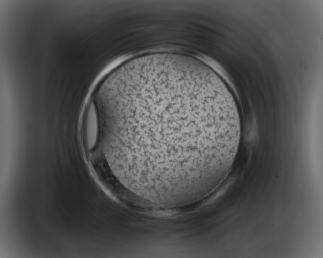 X0000083581053200703021810