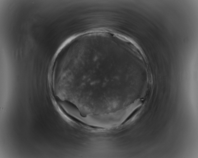 X0000083581054200703021810