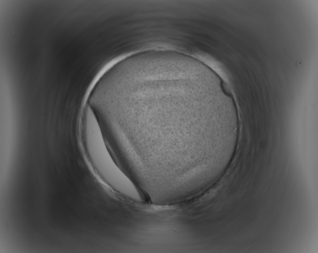 X0000083581056200703021810