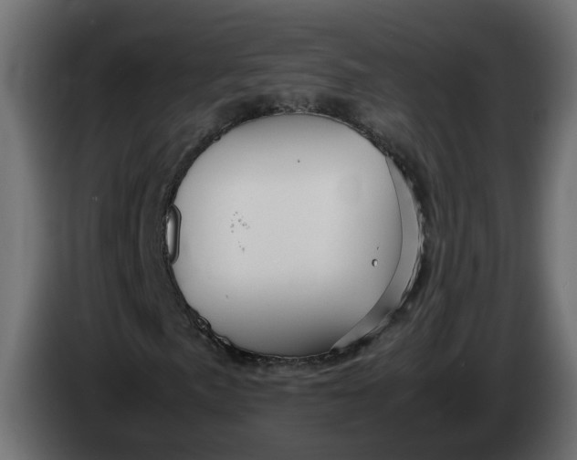 X0000083581057200703021809