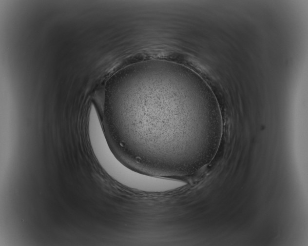 X0000083581058200703021809