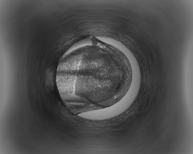 X0000083581060200703021809