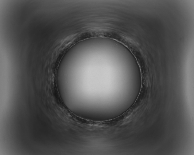 X0000083581061200703021809