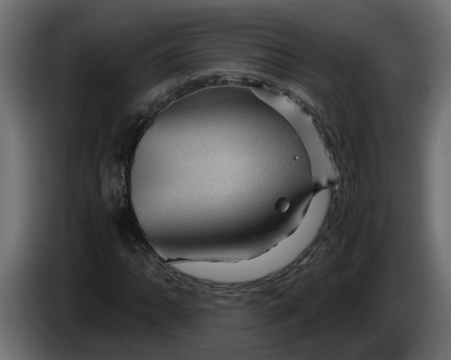 X0000083581062200703021809