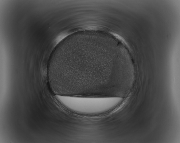 X0000083581065200703021809