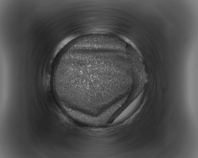 X0000083581066200703021809