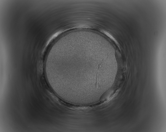 X0000083581067200703021809