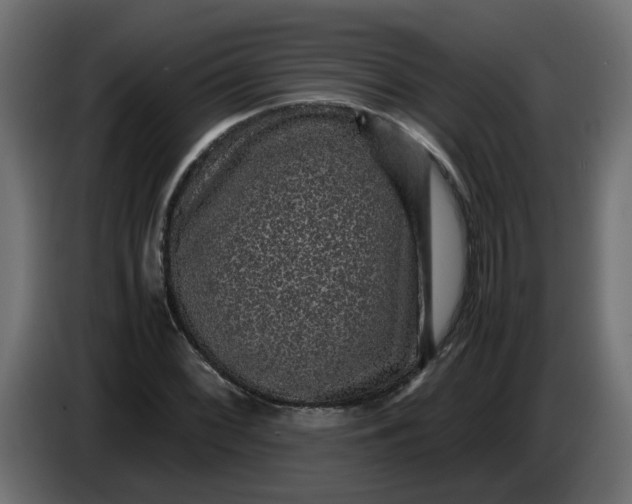 X0000083581068200703021809