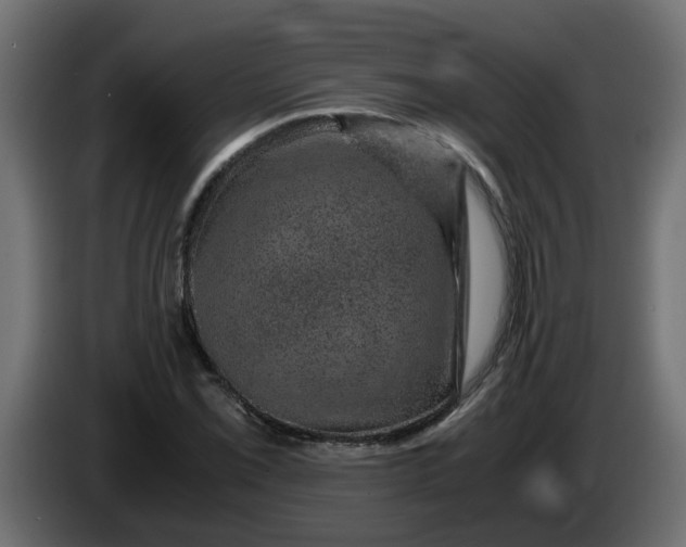 X0000083581069200703021809