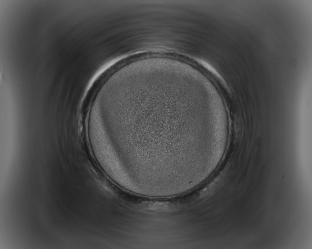 X0000083581070200703021809