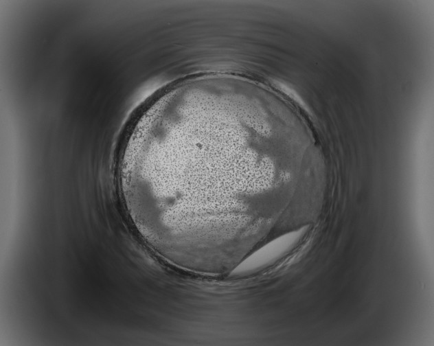 X0000083581071200703021809