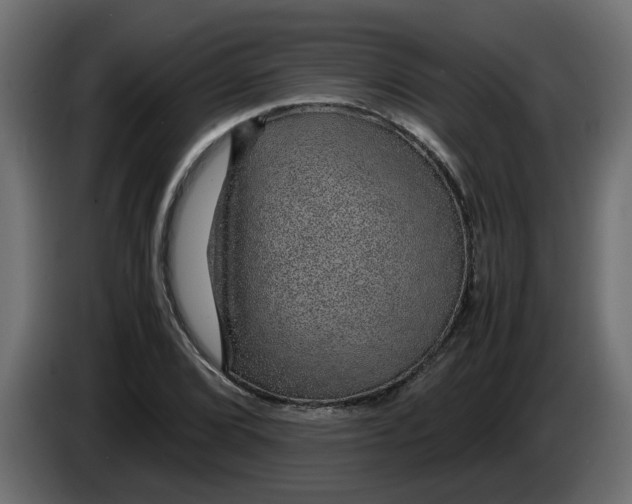 X0000083581072200703021809