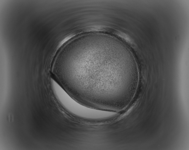 X0000083581073200703021809