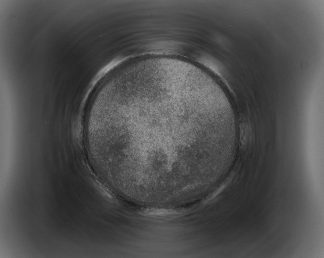 X0000083581074200703021809