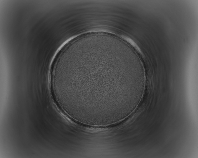 X0000083581076200703021809