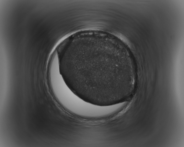 X0000083581077200703021809