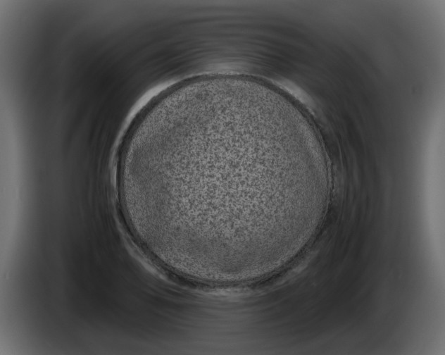 X0000083581078200703021809