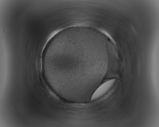 X0000083581079200703021809