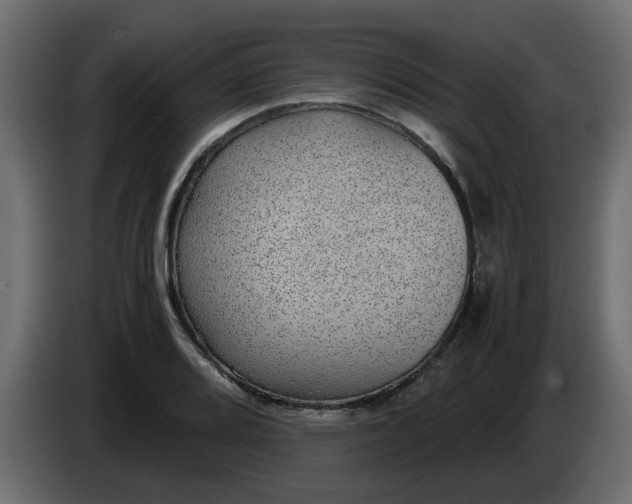 X0000083581080200703021809