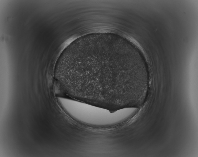 X0000083581081200703021809