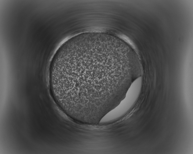 X0000083581083200703021809