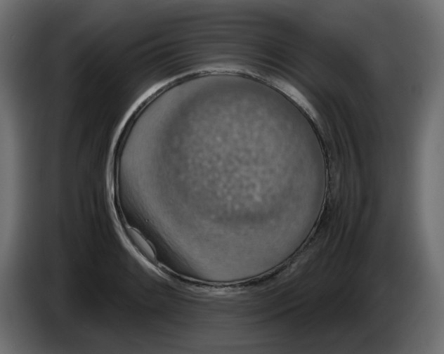 X0000083581084200703021809