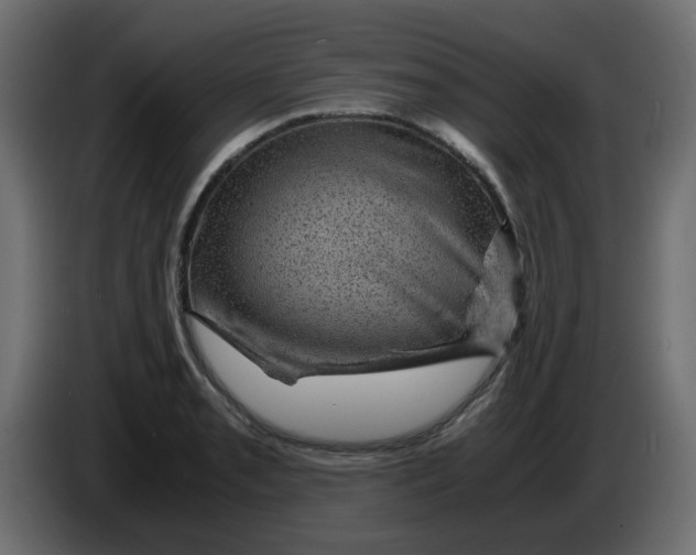 X0000083581085200703021809