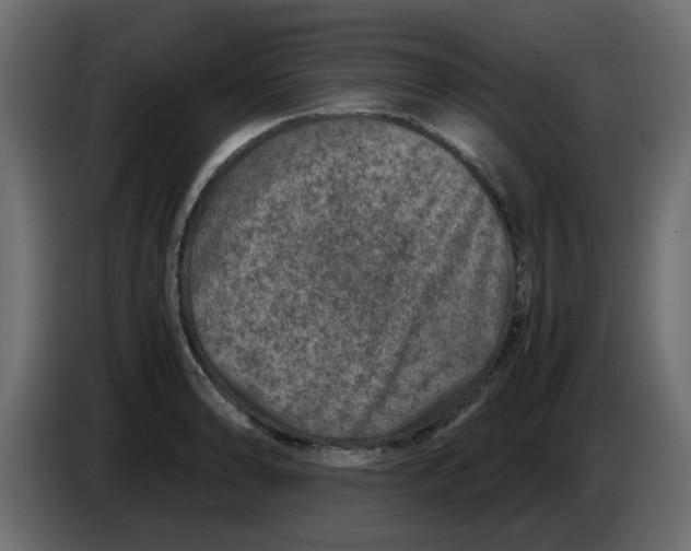 X0000083581086200703021809