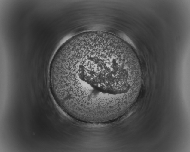 X0000083581087200703021809