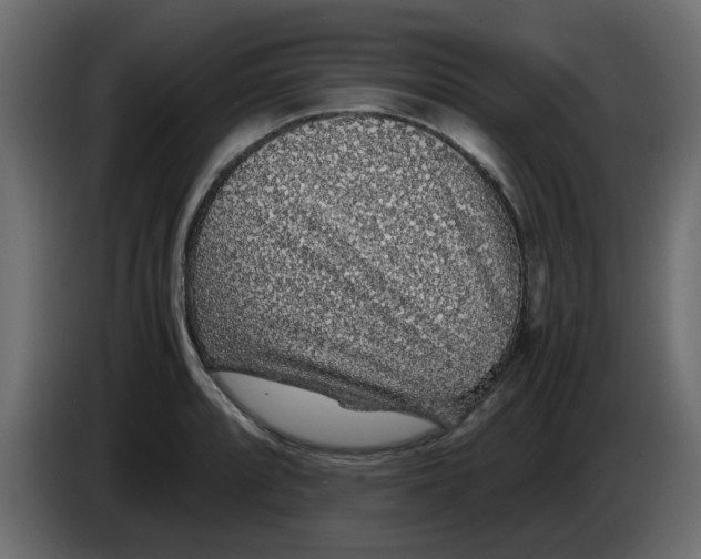 X0000083581088200703021809