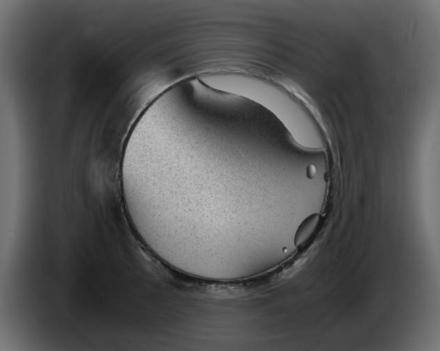 X0000083581089200703021809