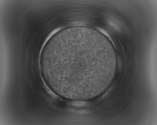 X0000083581090200703021809