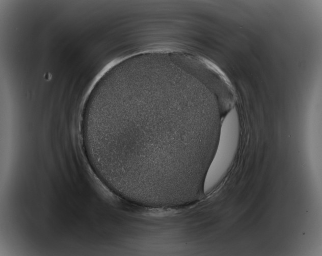 X0000083581091200703021809