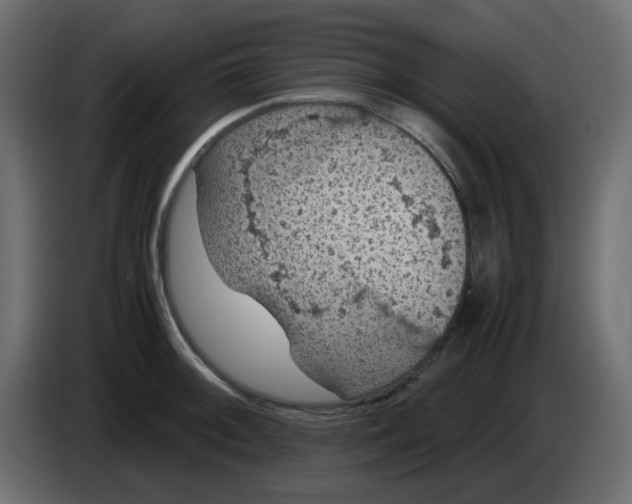 X0000083581092200703021809