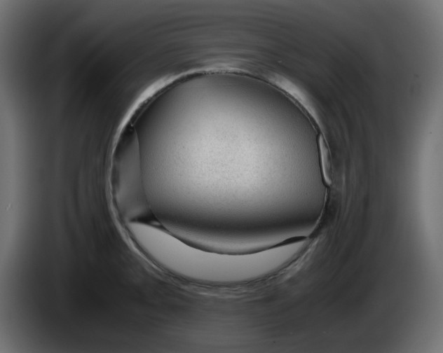 X0000083581093200703021809