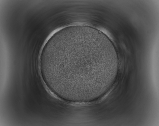 X0000083581094200703021809