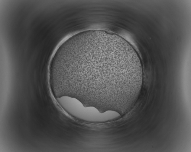 X0000083581096200703021809