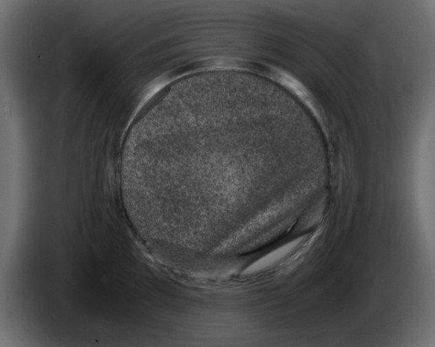 X0000083581097200703021809