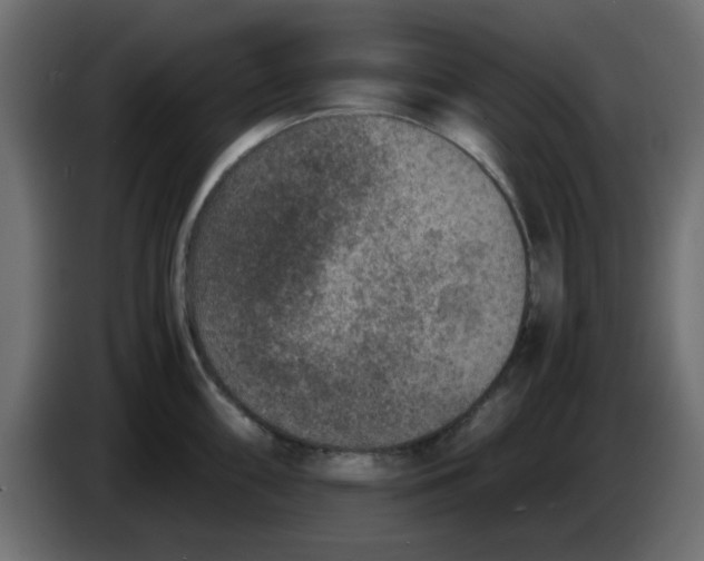 X0000083581098200703021809