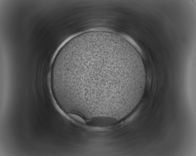 X0000083581100200703021809