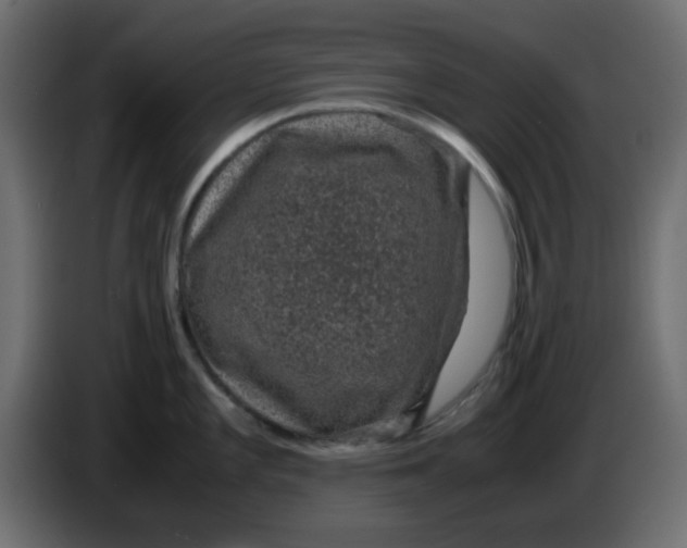 X0000083581101200703021808