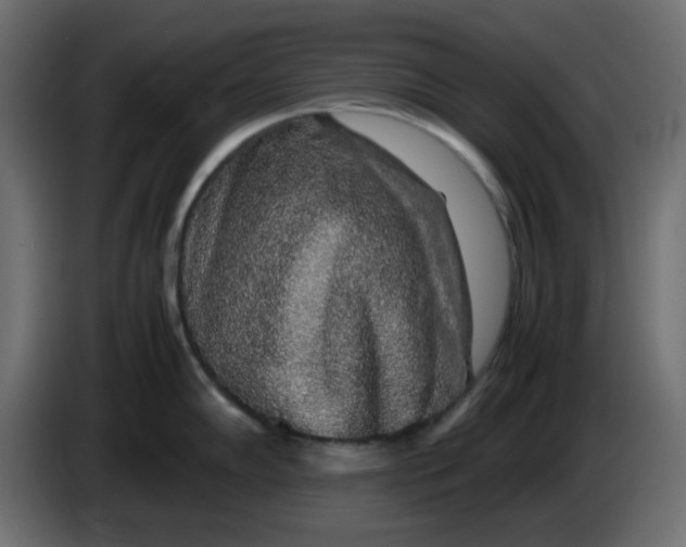 X0000083581102200703021808