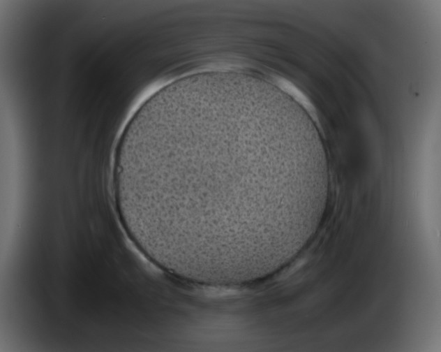 X0000083581103200703021808