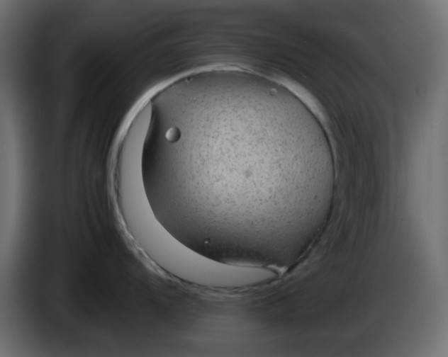 X0000083581104200703021808