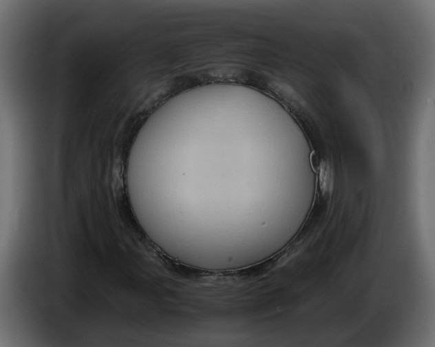 X0000083581107200703021808